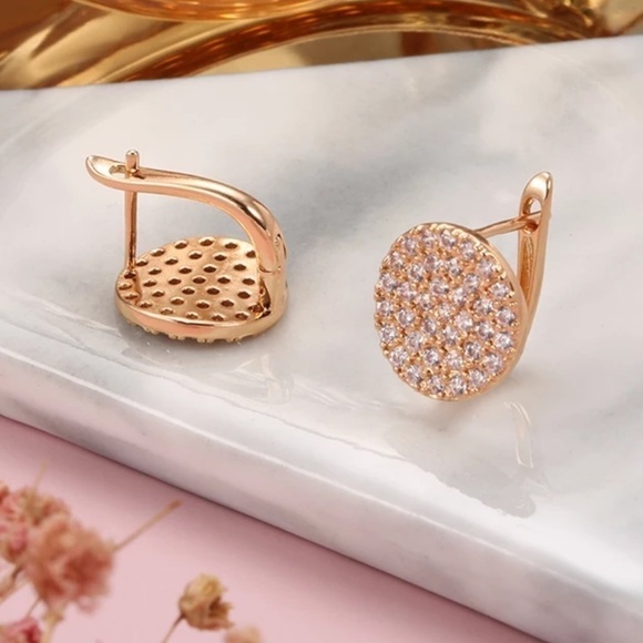 Rose Gold Full Micro Pave Round Earrings - Picture 6 of 9
